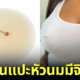 ปก Fashion Nova แผ่นแปะหัวนมมีจิว
