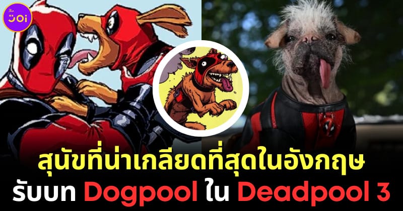ปก peggy สุนัขที่น่าเกลียดที่สุดในอังกฤษ doogpool