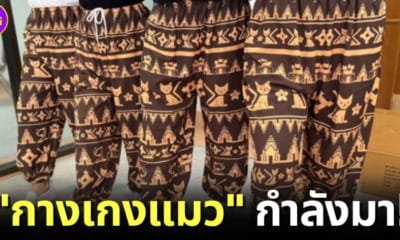 กางเกงแมว-Korat-Monogram-ไทย