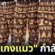 กางเกงแมว-Korat-Monogram-ไทย