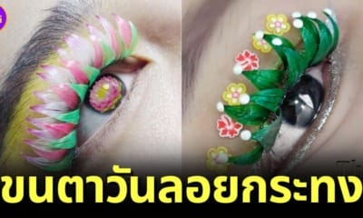 ปก ขนตาวันลอยกระทง