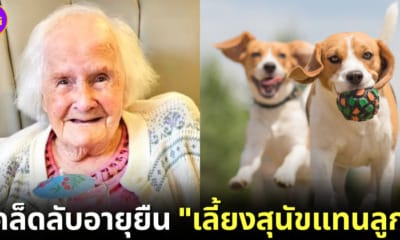 ปก คุณย่าอายุ 108 เผยเคล็ดลับอายุยืนเลี้ยงหมาแทนลูก