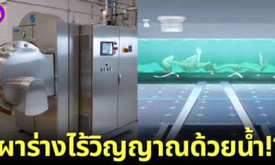 ปก ฌาปนกิจด้วยน้ำ