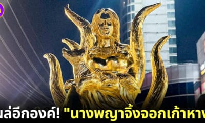 ปก นางพญาจิ้งจอกเก้าหาง ศาลครูกายแก้ว รัชดา