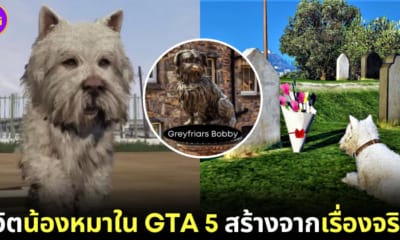 ปก หมาในเกม GTA 5 สร้างจากเรื่องจริง
