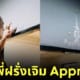 หลวงพี่ฝรั่ง เจิม approved