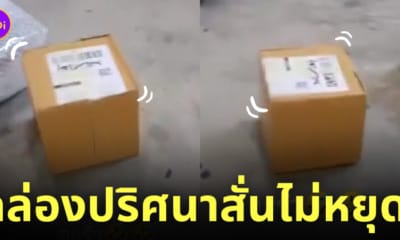 กล่องพัสดุปริศนา สั่นไม่หยุด