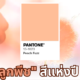 สีส้มลูกพีช peach fuzz สีแห่งปี 2024 pantone