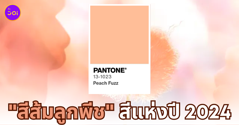 สีส้มลูกพีช peach fuzz สีแห่งปี 2024 pantone