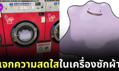 ซักตุ๊กตา Ditto โปเกมอนในเครื่องซักผ้า