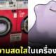 ซักตุ๊กตา Ditto โปเกมอนในเครื่องซักผ้า