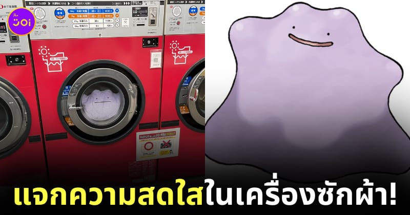 ซักตุ๊กตา Ditto โปเกมอนในเครื่องซักผ้า