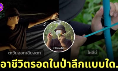 คลิปเอาชีวิตรอดในป่าลึก TikTok kuanpuantiew