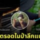 คลิปเอาชีวิตรอดในป่าลึก TikTok kuanpuantiew