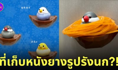 ที่เก็บหนังยางรัดถุงแกงรูปรังนก