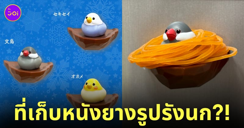 ที่เก็บหนังยางรัดถุงแกงรูปรังนก