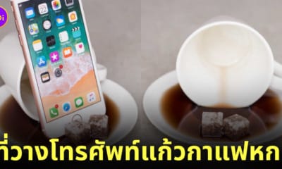 โมเดลที่วางโทรศัพท์ แก้วกาแฟหก แบรนด์ญี่ปุ่น