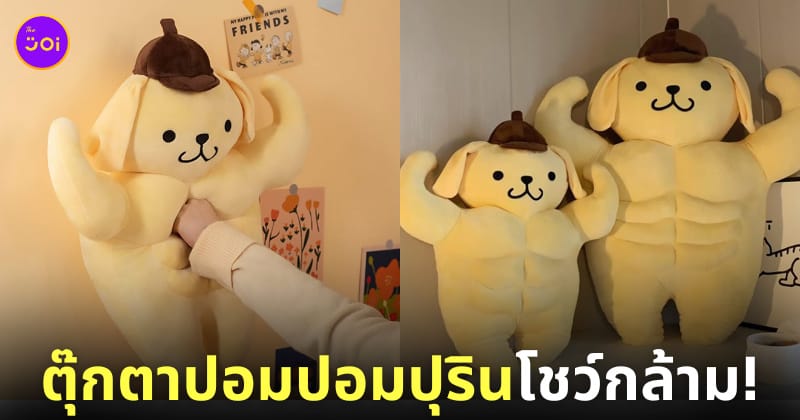 ตุ๊กตาปอมปอมปุริน มีกล้าม Sanrio