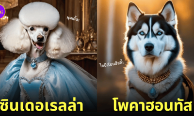 น้องหมานานาสายพันธุ์อยู่ในคอสตูมเจ้าหญิงดิสนีย์ aiart