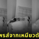 คลิปทาสแมวจับคางคก