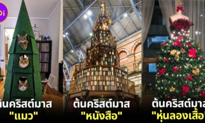 ปก 30 ต้นคริสต์มาสสุดครีเอทโดยชาวเน็ตต่างประเทศ