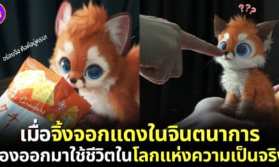 ปก จิ้งจอกแดงในจินตนาการต้องออกมาใช้ชีวิตในโลกแห่งความเป็นจริง Yee Chong