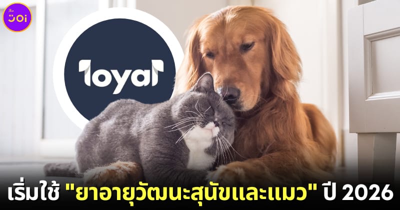 ปก ยาอายุวัฒนะสัตว์เลี้ยง สุนัขแมว