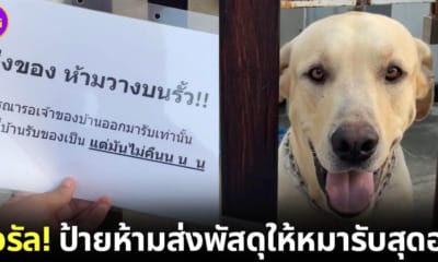 ปก ห้ามหมารับพัสดุ