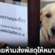 ปก ห้ามหมารับพัสดุ