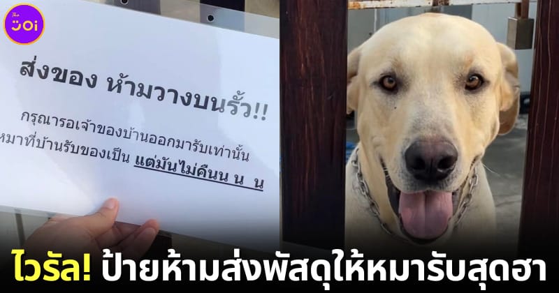 ปก ห้ามหมารับพัสดุ