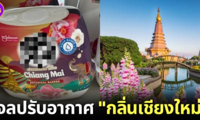 ปก เจลปรับอากาศกลิ่นเชียงใหม่ ภูเก็ต