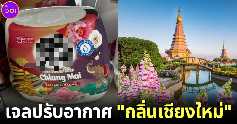 ปก เจลปรับอากาศกลิ่นเชียงใหม่ ภูเก็ต