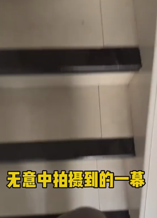 หมาแกล้ง