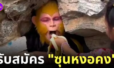 อาชีพแปลก รับสมัครซุนหงอคง จีน