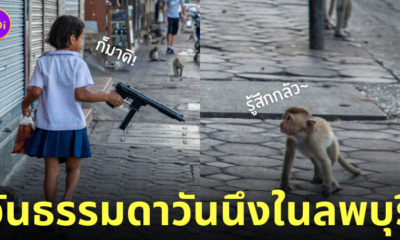 เด็กถือปืนฉีดน้ำ ขู่ลิงลพบุรี