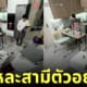 สามีตัวอย่าง ช่วยภรรยาเก็บกวาดบ้าน