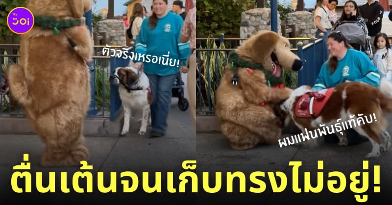 หมานำทางเจอมาสคอตตัวการ์ตูนที่ชอบ