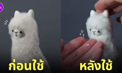 ขวดสเปรย์แอลกอฮอล์อัลปาก้าพ่นน้ำลาย