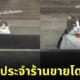 โอรีโอ แมวเหมียว หน้าร้านโดนัท