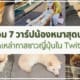 มัดรวม 7 วาร์ปน้องหมาสุดน่ารักจากเหล่าทาสชาวญี่ปุ่นใน Twitter