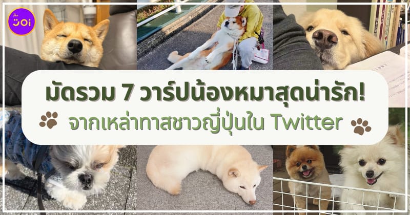 มัดรวม 7 วาร์ปน้องหมาสุดน่ารักจากเหล่าทาสชาวญี่ปุ่นใน Twitter