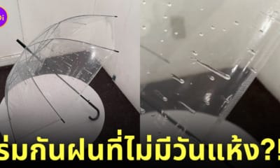 ร่มกันฝนที่ไม่มีวันแห้ง ร่มกันฝนลายหยดน้ำ