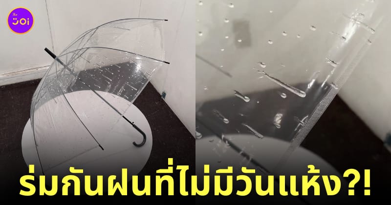 ร่มกันฝนที่ไม่มีวันแห้ง ร่มกันฝนลายหยดน้ำ