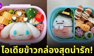 ไอเดียสร้างสรรค์ข้าวกล่องสุดน่ารัก ncz_cocoben