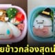 ไอเดียสร้างสรรค์ข้าวกล่องสุดน่ารัก ncz_cocoben