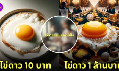 ภาพคอนเทนต์ไข่ดาวที่มูลค่าสูงที่สุดในโลก TikTok aithaistory