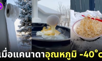 ภาพความหนาวจัดในแคนาดาที่มีอุณหภูมิ -40 องศา ทุกอย่างกลายเป็นน้ำแข็ง