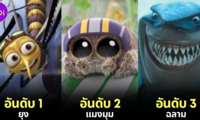 ปก 10 อันดับสัตว์ที่คนเกลียดมากที่สุดในโลก 2024