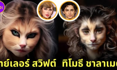 ปก 11 คนดังฮอลลีวูด หากกลายเป็นแมวด้วย AI