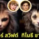 ปก 11 คนดังฮอลลีวูด หากกลายเป็นแมวด้วย AI